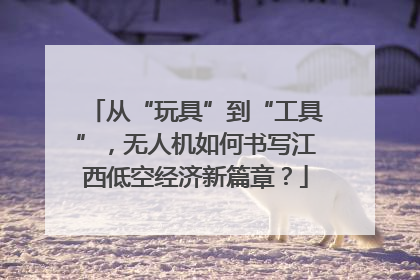 从“玩具”到“工具”，无人机如何书写江西低空经济新篇章？