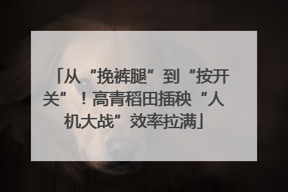 从“挽裤腿”到“按开关”！高青稻田插秧“人机大战”效率拉满
