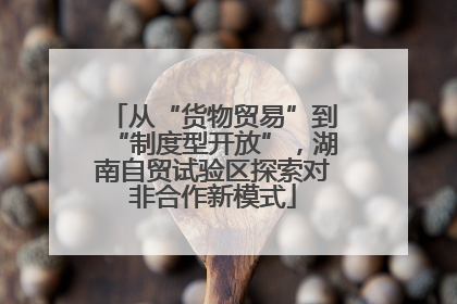 从“货物贸易”到“制度型开放”，湖南自贸试验区探索对非合作新模式