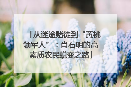 从迷途赌徒到“黄桃领军人”：肖石明的高素质农民蜕变之路