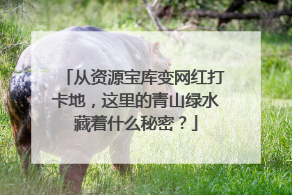 从资源宝库变网红打卡地，这里的青山绿水藏着什么秘密？
