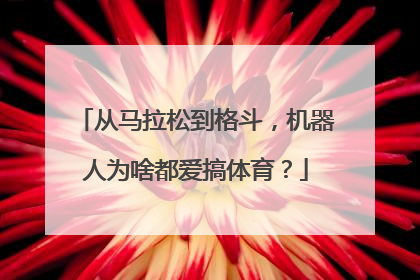 从马拉松到格斗，机器人为啥都爱搞体育？