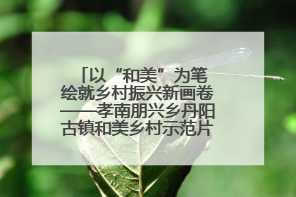 以“和美”为笔 绘就乡村振兴新画卷——孝南朋兴乡丹阳古镇和美乡村示范片区建设综述