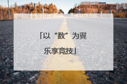 以“数”为翼 乐享竞技