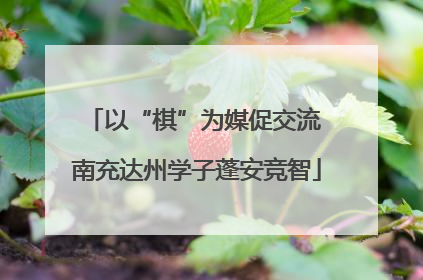 以“棋”为媒促交流 南充达州学子蓬安竞智