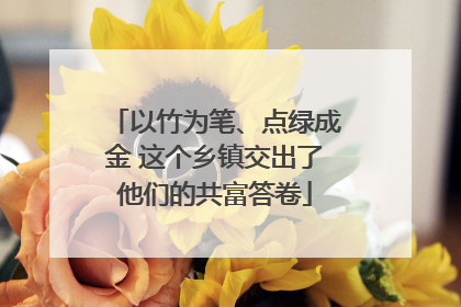 以竹为笔、点绿成金 这个乡镇交出了他们的共富答卷