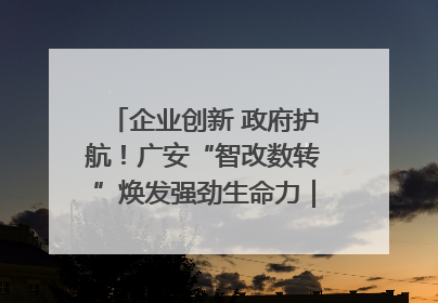 企业创新 政府护航！广安“智改数转”焕发强劲生命力｜市州焕新力