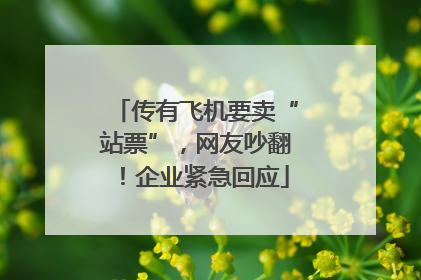 传有飞机要卖“站票”，网友吵翻！企业紧急回应