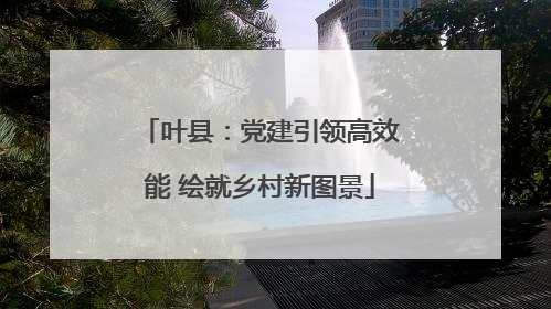 叶县：党建引领高效能 绘就乡村新图景