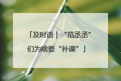 及时语｜“范丞丞”们为啥要“补课”
