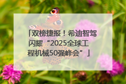 双榜捷报！希迪智驾闪耀“2025全球工程机械50强峰会”