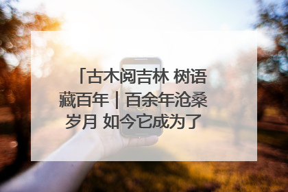 古木阅吉林 树语藏百年｜百余年沧桑岁月 如今它成为了“镇园之宝”