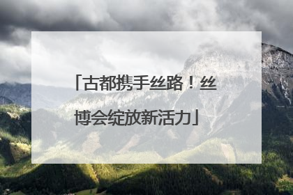 古都携手丝路！丝博会绽放新活力