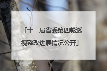 十一届省委第四轮巡视整改进展情况公开