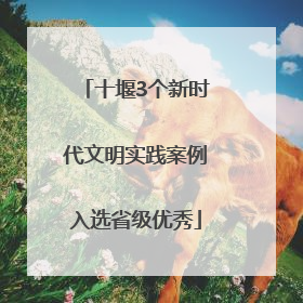 十堰3个新时代文明实践案例入选省级优秀