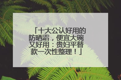 十大公认好用的防晒霜，便宜大碗又好用：贵妇平替款一次性整理！