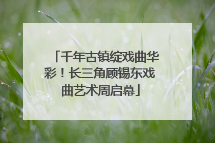 千年古镇绽戏曲华彩！长三角顾锡东戏曲艺术周启幕
