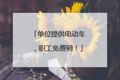 单位提供电动车，职工免费骑！