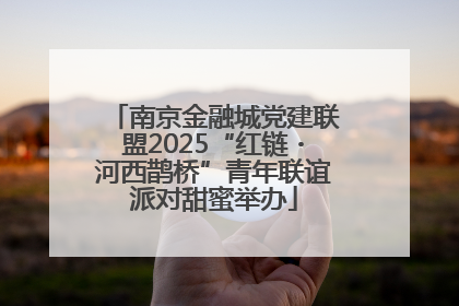 南京金融城党建联盟2025“红链・河西鹊桥”青年联谊派对甜蜜举办