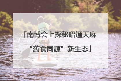 南博会上探秘昭通天麻“药食同源”新生态