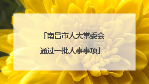 南昌市人大常委会通过一批人事事项
