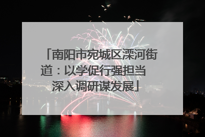 南阳市宛城区溧河街道：以学促行强担当 深入调研谋发展