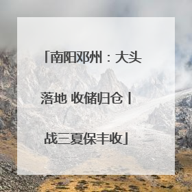 南阳邓州：大头落地 收储归仓丨战三夏保丰收
