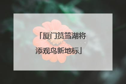 厦门筼筜湖将添观鸟新地标