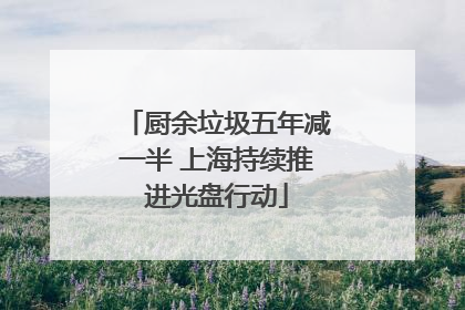 厨余垃圾五年减一半 上海持续推进光盘行动
