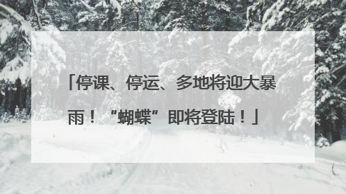 停课、停运、多地将迎大暴雨！“蝴蝶”即将登陆！