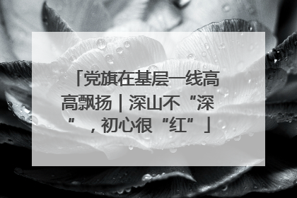 党旗在基层一线高高飘扬｜深山不“深”，初心很“红”