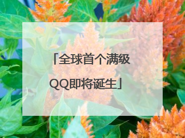 全球首个满级QQ即将诞生