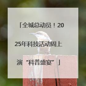全城总动员！2025年科技活动周上演“科普盛宴”