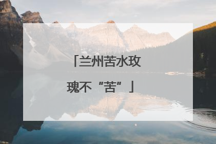 兰州苦水玫瑰不“苦”