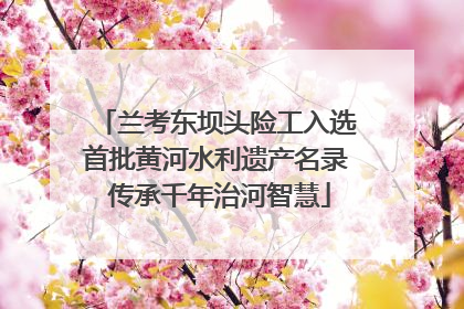 兰考东坝头险工入选首批黄河水利遗产名录 传承千年治河智慧