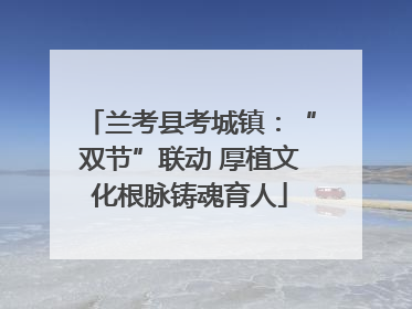 兰考县考城镇：“双节”联动 厚植文化根脉铸魂育人