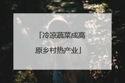 冷凉蔬菜成高原乡村热产业