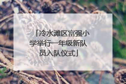 冷水滩区富强小学举行一年级新队员入队仪式