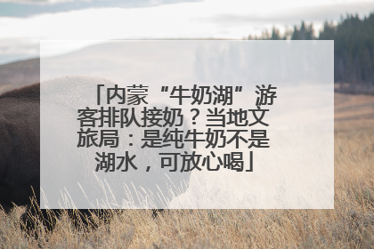 内蒙“牛奶湖”游客排队接奶？当地文旅局：是纯牛奶不是湖水，可放心喝