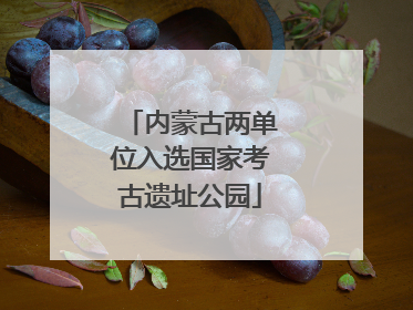 内蒙古两单位入选国家考古遗址公园