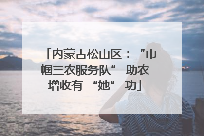 内蒙古松山区：“巾帼三农服务队” 助农增收有 “她” 功