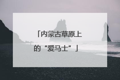 内蒙古草原上的“爱马士”