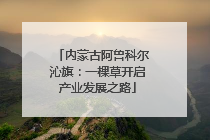 内蒙古阿鲁科尔沁旗：一棵草开启产业发展之路