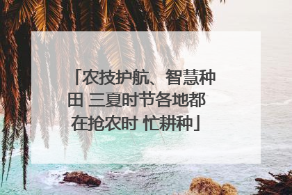 农技护航、智慧种田 三夏时节各地都在抢农时 忙耕种