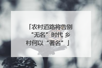 农村道路将告别“无名”时代 乡村何以“著名”