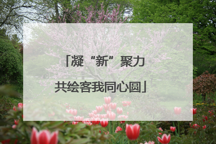 凝“新”聚力 共绘客我同心圆