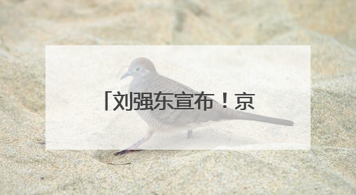 刘强东宣布！京东将推出稳定币