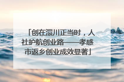 创在澴川正当时，人社护航创业路——孝感市返乡创业成效显著