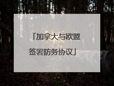 加拿大与欧盟签署防务协议