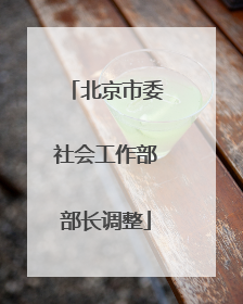 北京市委社会工作部部长调整